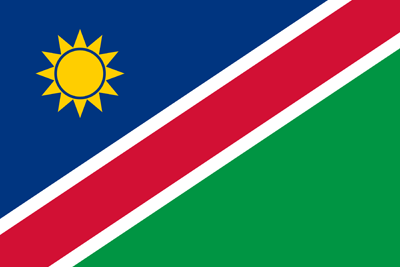 SA Flag